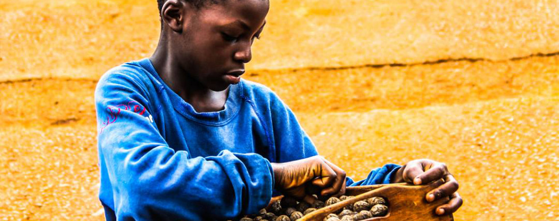 Excursion à Foumban